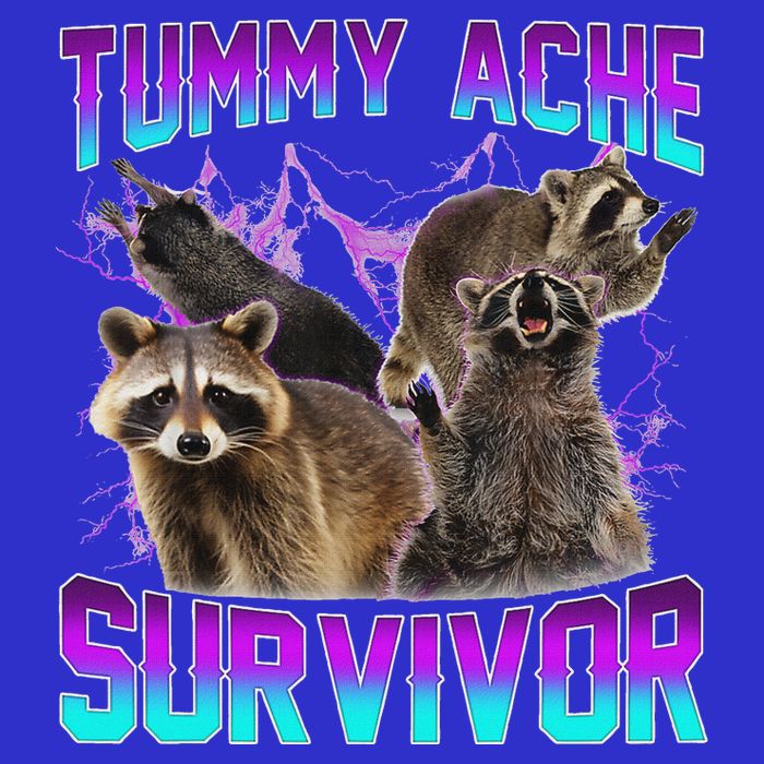 Tummy Ache Survivor Raccoon Sweatshirt