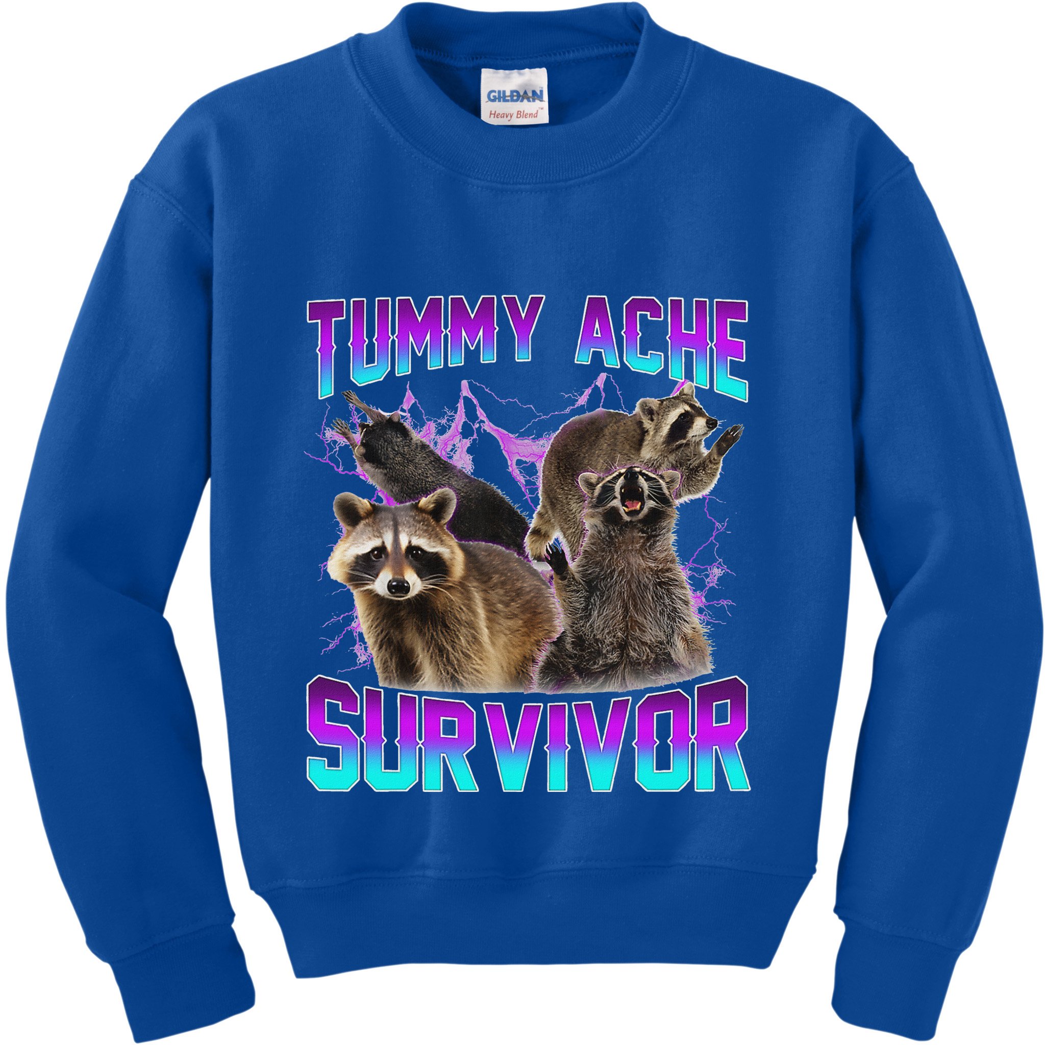 Tummy Ache Survivor Raccoon Kids Sweatshirt