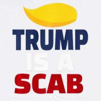 Trump’S A Scab Trump Is A Scab Premium Wool Snapback Cap