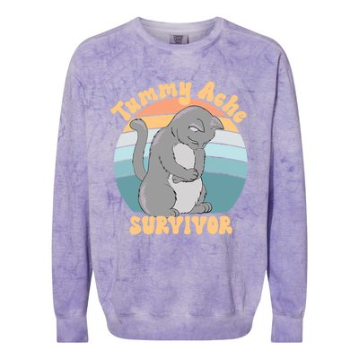 Tummy Ache Survivor Cat Colorblast Crewneck Sweatshirt