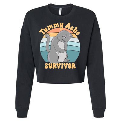 Tummy Ache Survivor Cat Cropped Pullover Crew