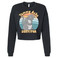 Tummy Ache Survivor Cat Cropped Pullover Crew