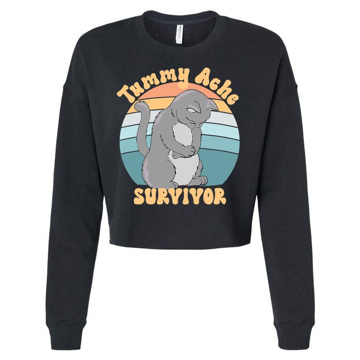 Tummy Ache Survivor Cat Cropped Pullover Crew