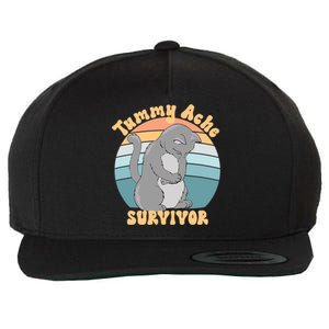 Tummy Ache Survivor Cat Wool Snapback Cap