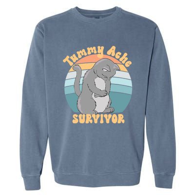 Tummy Ache Survivor Cat Garment-Dyed Sweatshirt