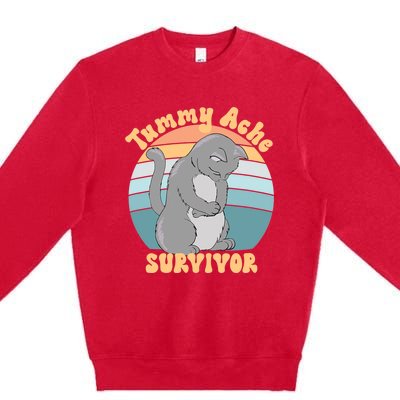 Tummy Ache Survivor Cat Premium Crewneck Sweatshirt