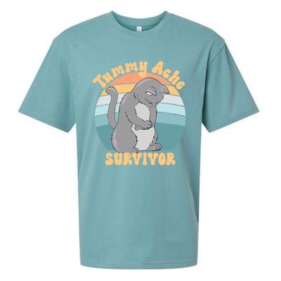 Tummy Ache Survivor Cat Sueded Cloud Jersey T-Shirt