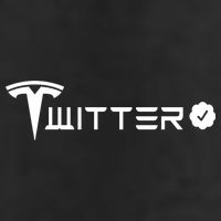 Twitter Combined Logo Adult Drive Performance Visor