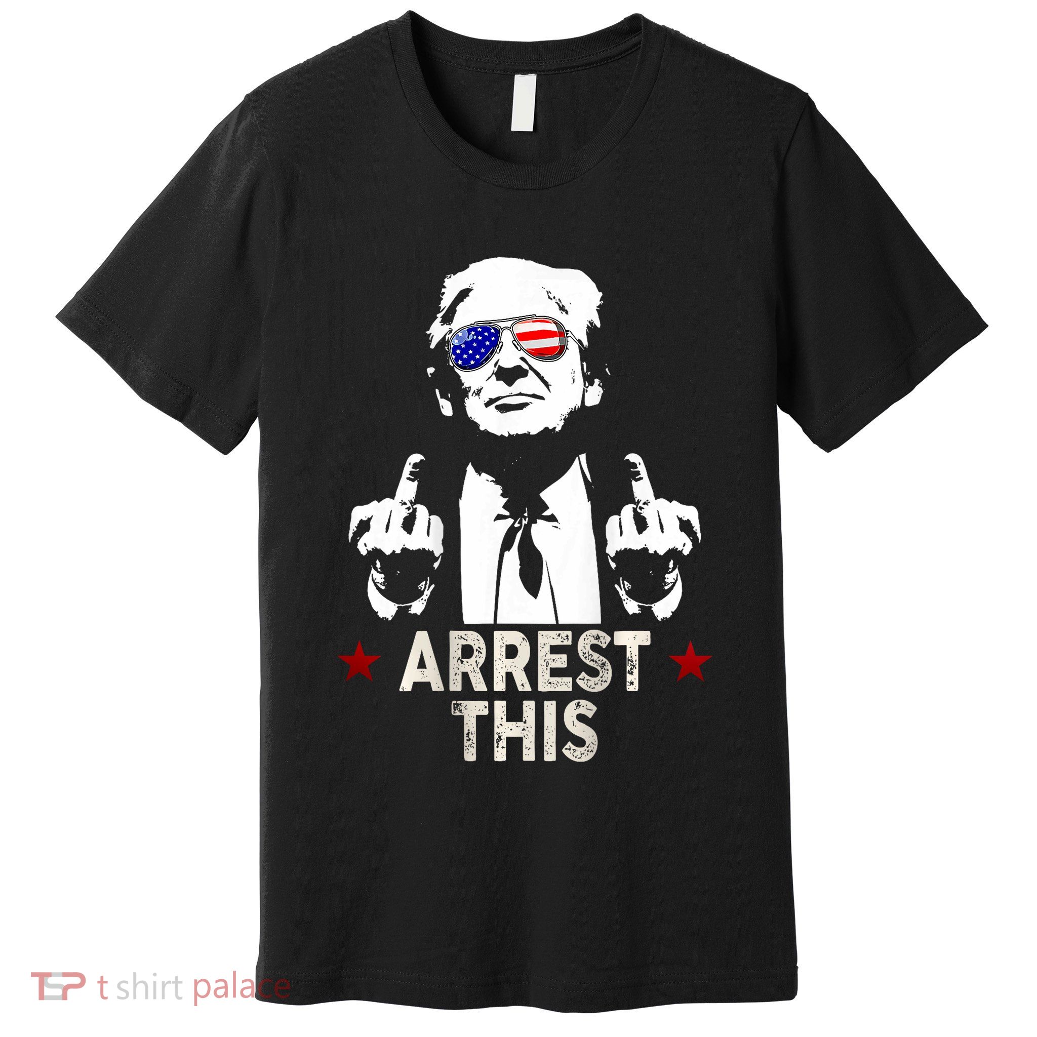 Trump Arrest This Funny Trump 2024 Premium T-Shirt