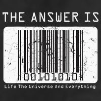 The Answer to Life The Universe and Everything in barcode Beanie