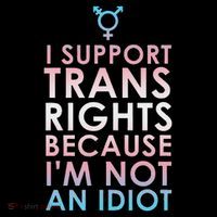Transgender Ally Trans Pride Flag Support T-Shirt