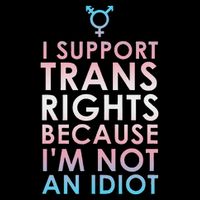 Transgender Ally Trans Pride Flag Support Zip Tote Bag