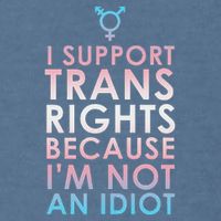 Transgender Ally Trans Pride Flag Support Garment-Dyed Sweatshirt
