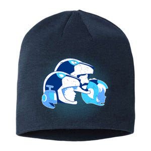 Travel Among Unknown Stars Sustainable Beanie