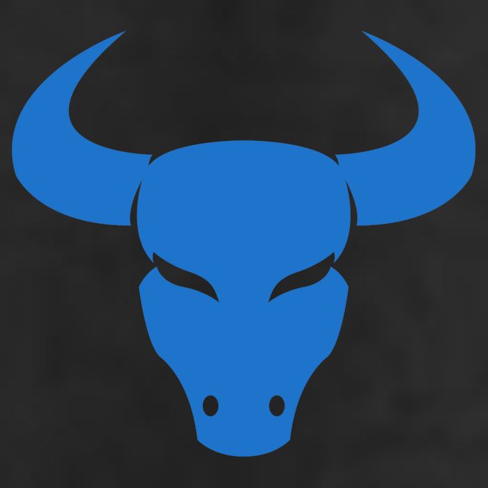 Taurus Astrological Zodiac Sign Beanie