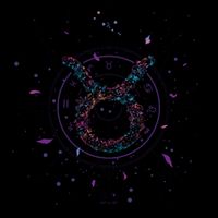 Taurus Floral Zodiac T-Shirt
