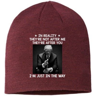 They're After You I'm Just In The Way Trump 2024 Sustainable Beanie