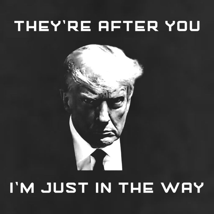 Theyre After You Im Just In The Way Donald Trump 7 Panel Mesh Trucker Snapback Hat