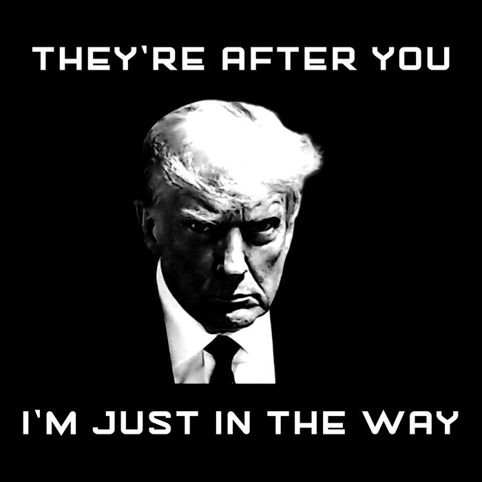 Theyre After You Im Just In The Way Donald Trump Flexfit Unipanel Trucker Cap
