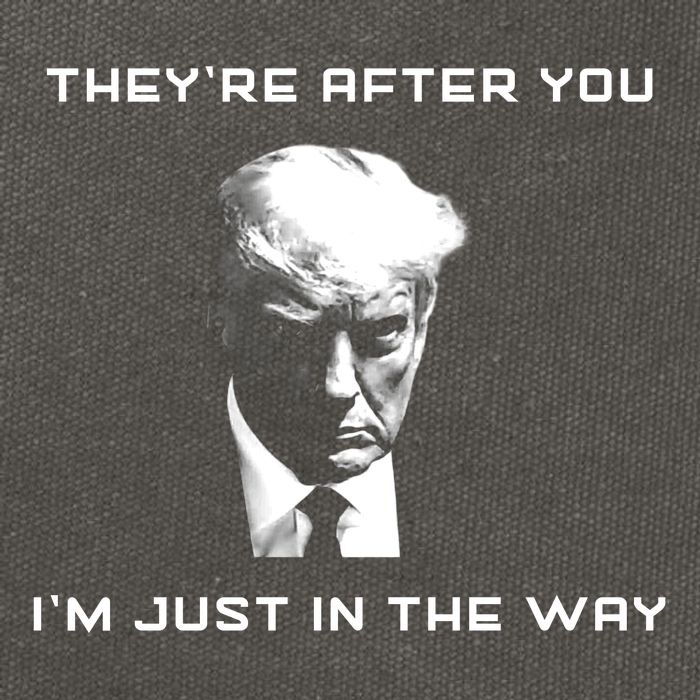Theyre After You Im Just In The Way Donald Trump Cotton Canvas Backpack