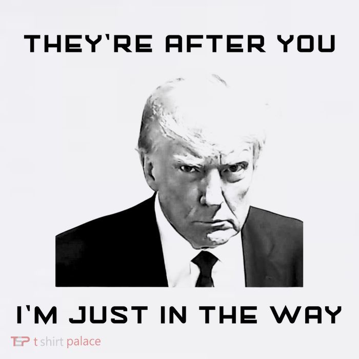 Theyre After You Im Just In The Way Donald Trump Cool Comfort Performance Bucket Hat