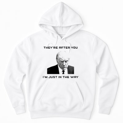 Theyre After You Im Just In The Way Donald Trump Hoodie