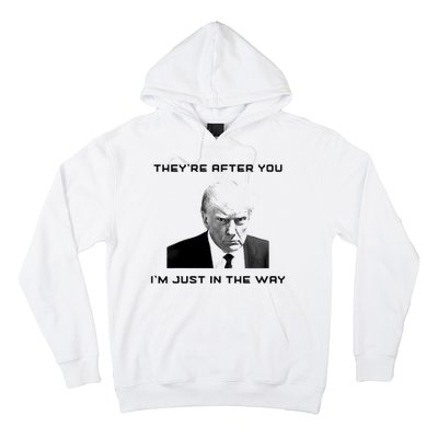 Theyre After You Im Just In The Way Donald Trump Hoodie