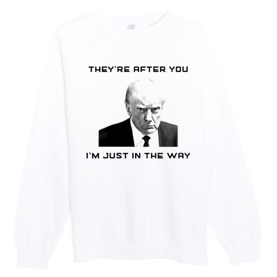 Theyre After You Im Just In The Way Donald Trump Premium Crewneck Sweatshirt