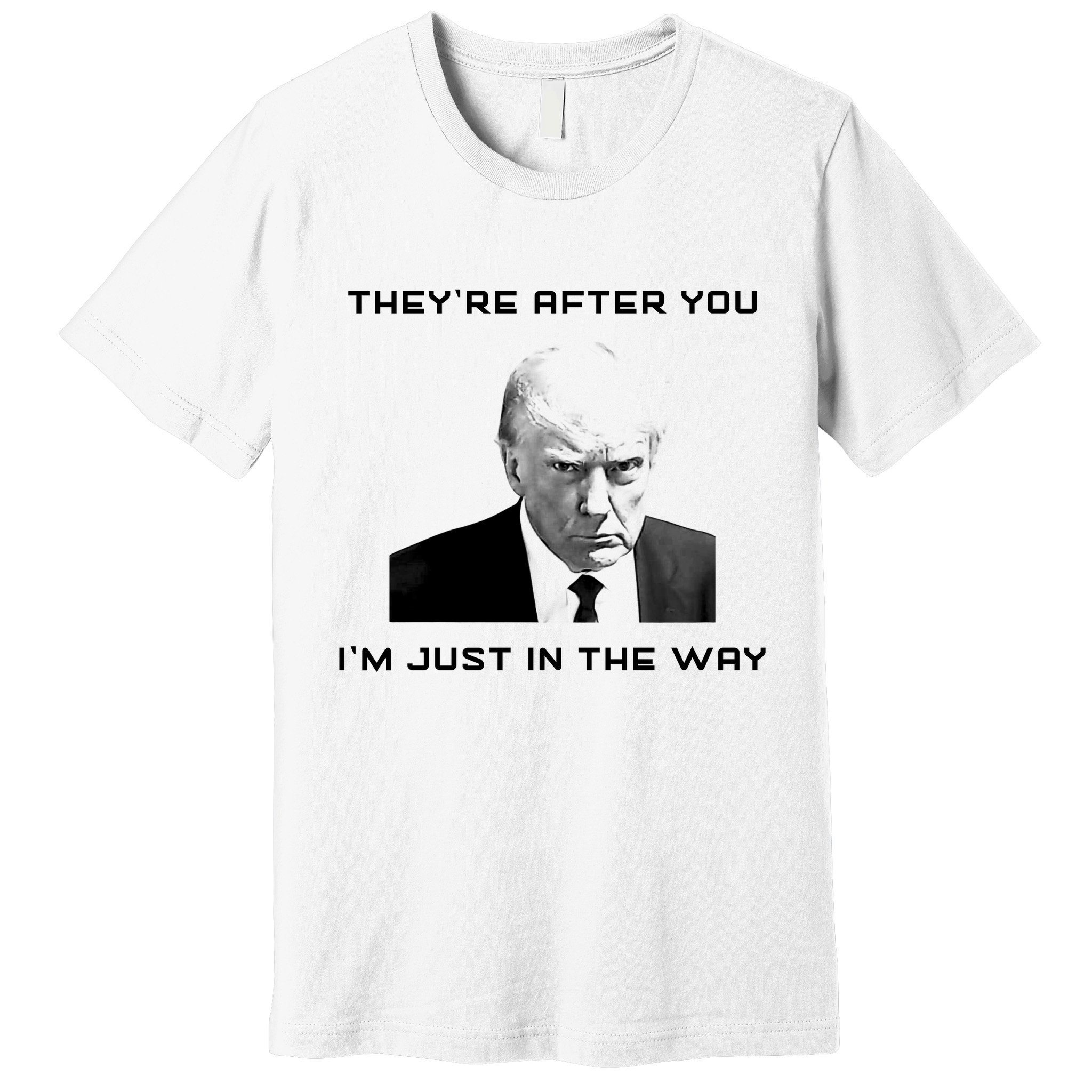 Theyre After You Im Just In The Way Donald Trump Premium T-Shirt