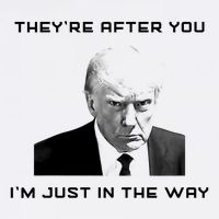 Theyre After You Im Just In The Way Donald Trump Tank Top