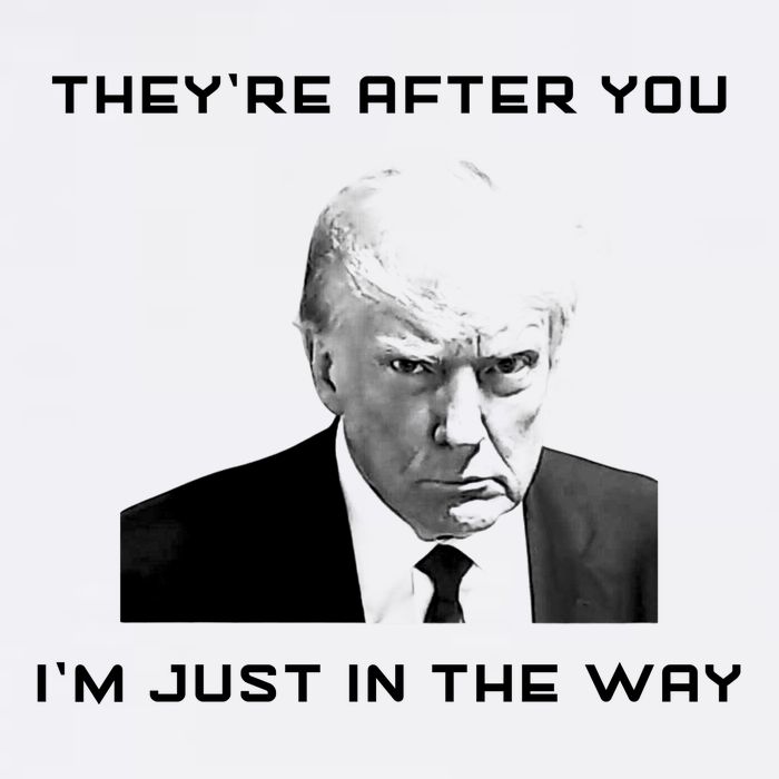 Theyre After You Im Just In The Way Donald Trump Tank Top