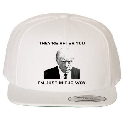Theyre After You Im Just In The Way Donald Trump Wool Snapback Cap