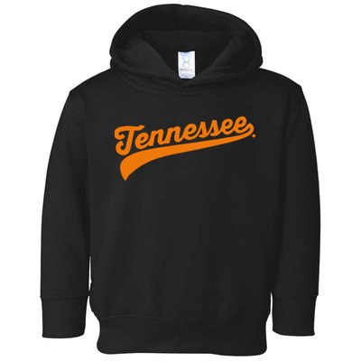Tennessee Baseball 2024 College Toddler Hoodie