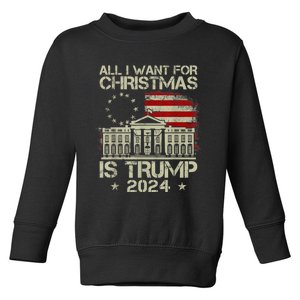 Trump Back 2024 All I Want For Christmas Is A New President Toddler Sweatshirt