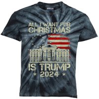 Trump Back 2024 All I Want For Christmas Is A New President Kids Tie-Dye T-Shirt