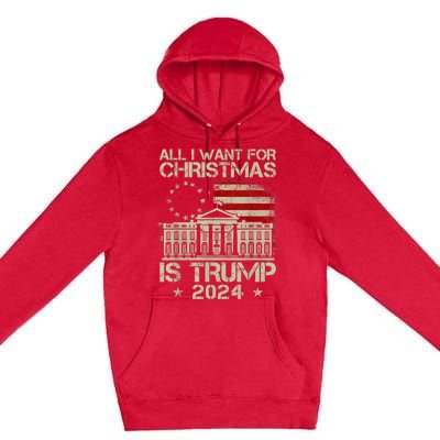 Trump Back 2024 All I Want For Christmas Is A New President Premium Pullover Hoodie