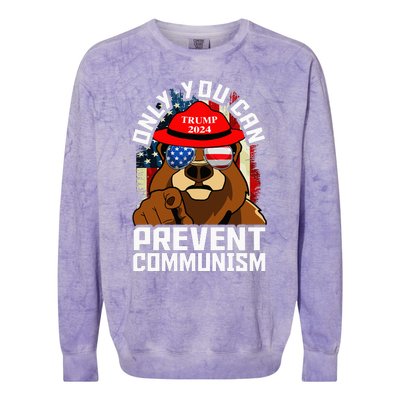 Trump Bear 45 47 MAGA 2024 Only You Can Prevent Socialism Colorblast Crewneck Sweatshirt