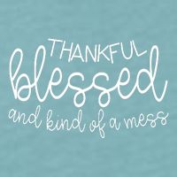 Thankful Blessed And Kind Of A Mess Funny Sueded Cloud Jersey T-Shirt
