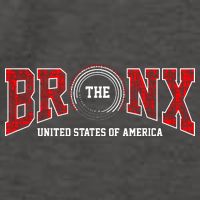 The Bronx Authentic Denim Vector Backpack