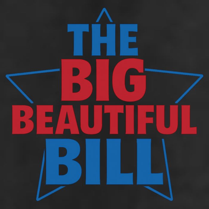 The Big Beautiful Bill 7 Panel Mesh Trucker Snapback Hat