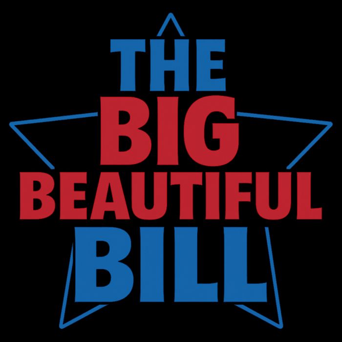 The Big Beautiful Bill 16 in Basic Backpack