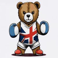 Teddy Bear Boxing Premium 11oz C Handle Ceramic Mug
