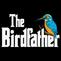 The Birdfather Bird Watching Funny Meme Birder Daddy Wool Snapback Cap