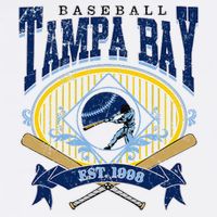 Tampa Bay Baseball Vintage Baseball Lover Hat