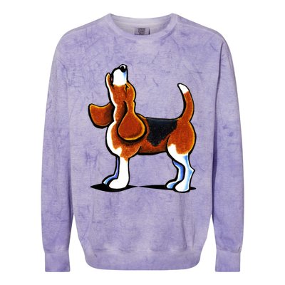 Tricolor Beagle Bay Colorblast Crewneck Sweatshirt