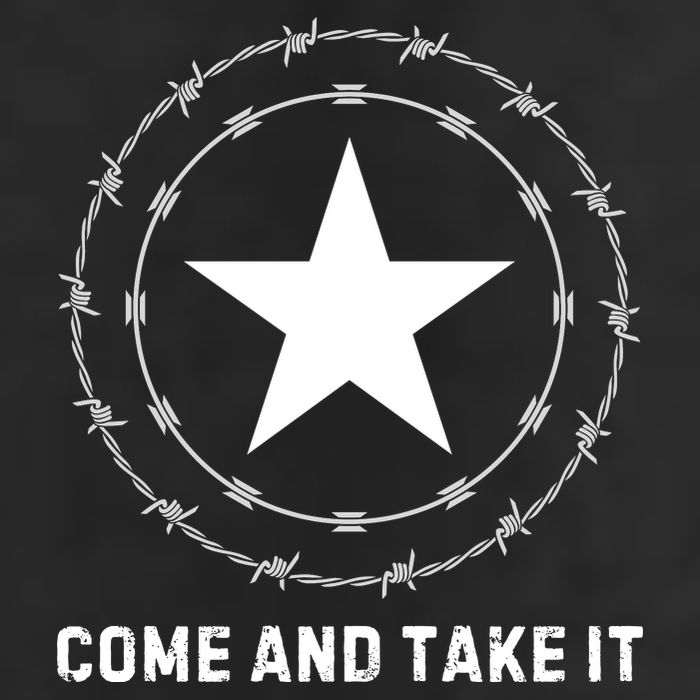 Texas Border Crisis Come And Take It 12oz Stainless Steel Coffee Mug