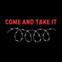 Texas Border Crisis Come And Take It Crop Top