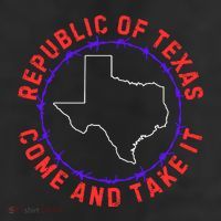Texas Border Crisis Come And Take It 11oz C Handle Ceramic Mug