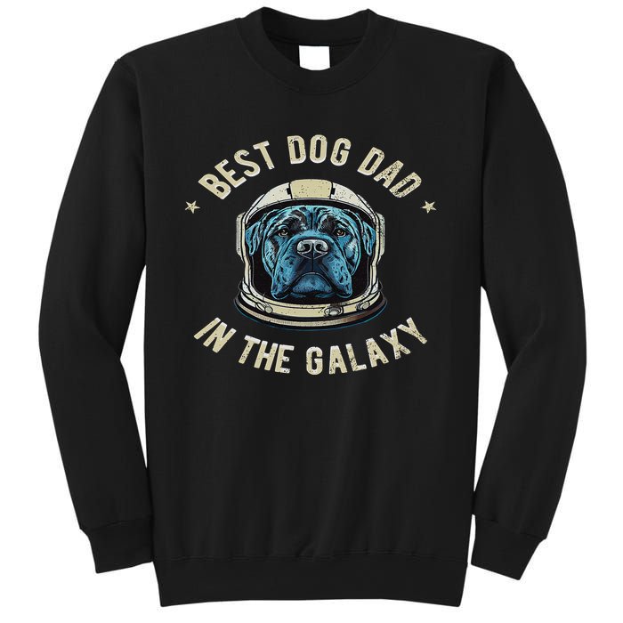 The Best Cane Corso Dad in the galaxy Funny Cane Corso Sweatshirt