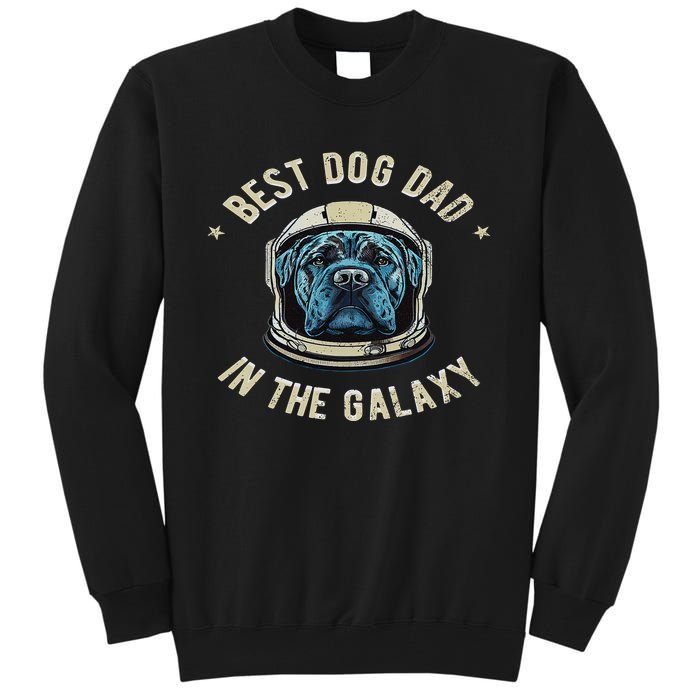 The Best Cane Corso Dad in the galaxy Funny Cane Corso Tall Sweatshirt